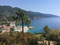 Blick auf Monterosso