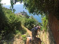 Wanderung von Monterosso nach Vernazza