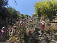Treppen hinauf nach Corniglia