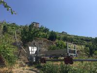 Wanderung von Corniglia nach Vernazza
