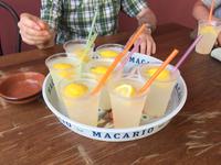 frische Zitronenlimonade