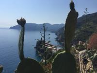 Wanderung von Corniglia nach Vernazza