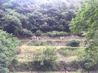 Wanderung von Corniglia nach Manarola