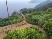Wanderung von Corniglia nach Manarola