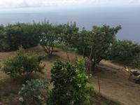 Wanderung von Corniglia nach Manarola