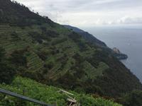 Wanderung von Corniglia nach Manarola