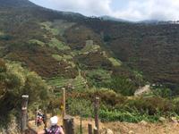 Wanderung von Corniglia nach Manarola