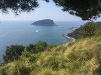 Wanderung auf der Insel Palmaria - Blick auf die Insel Tino