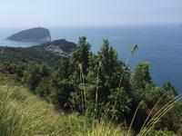 Wanderung auf der Insel Palmaria - Blick auf die Insel Tino