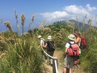 Wanderung auf der Insel Palmaria