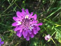 Wanderung auf der Insel Palmaria