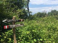 Wanderung auf der Insel Palmaria