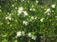 Wanderung auf der Insel Palmaria