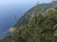 Wanderung von San Fruttuoso nach Portofino