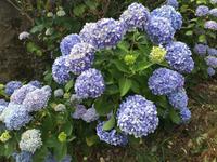 Wanderung von San Fruttuoso nach Portofino