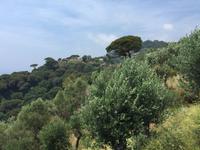 Wanderung von San Fruttuoso nach Portofino