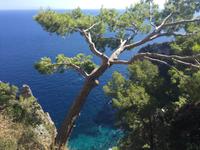 140 Arco Naturale