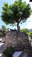 6_Malcesine_5