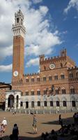 42_Siena_Campo
