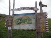 Wandern in Südtirol (Italien) – Dolomiten Wanderreise in Sterzing Astjoch – Sellajoch – Seiser Alm – Gemeinschaftsalm Fane – Burkhardtsklamm – Ratschinger Almenweg – Tatschsp (10)