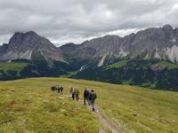 Wandern in Südtirol (Italien) – Dolomiten Wanderreise in Sterzing Astjoch – Sellajoch – Seiser Alm – Gemeinschaftsalm Fane – Burkhardtsklamm – Ratschinger Almenweg – Tatschsp (39)