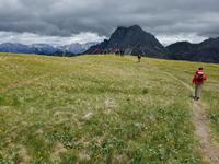 Wandern in Südtirol (Italien) – Dolomiten Wanderreise in Sterzing Astjoch – Sellajoch – Seiser Alm – Gemeinschaftsalm Fane – Burkhardtsklamm – Ratschinger Almenweg – Tatschsp (41)