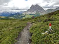 Wandern in Südtirol (Italien) – Dolomiten Wanderreise in Sterzing Astjoch – Sellajoch – Seiser Alm – Gemeinschaftsalm Fane – Burkhardtsklamm – Ratschinger Almenweg – Tatschsp (50)