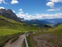 Wandern in Südtirol (Italien) – Dolomiten Wanderreise in Sterzing Astjoch – Sellajoch – Seiser Alm – Gemeinschaftsalm Fane – Burkhardtsklamm – Ratschinger Almenweg – Tatschsp (129)
