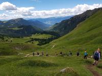 Wandern in Südtirol (Italien) – Dolomiten Wanderreise in Sterzing Astjoch – Sellajoch – Seiser Alm – Gemeinschaftsalm Fane – Burkhardtsklamm – Ratschinger Almenweg – Tatschsp (133)