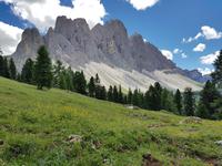 Wandern in Südtirol (Italien) – Dolomiten Wanderreise in Sterzing Astjoch – Sellajoch – Seiser Alm – Gemeinschaftsalm Fane – Burkhardtsklamm – Ratschinger Almenweg – Tatschsp (135)