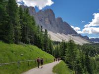 Wandern in Südtirol (Italien) – Dolomiten Wanderreise in Sterzing Astjoch – Sellajoch – Seiser Alm – Gemeinschaftsalm Fane – Burkhardtsklamm – Ratschinger Almenweg – Tatschsp (137)