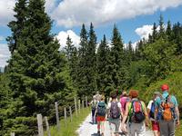 Wandern in Südtirol (Italien) – Dolomiten Wanderreise in Sterzing Astjoch – Sellajoch – Seiser Alm – Gemeinschaftsalm Fane – Burkhardtsklamm – Ratschinger Almenweg – Tatschsp (174)