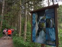 Wandern in Südtirol (Italien) – Dolomiten Wanderreise in Sterzing Astjoch – Sellajoch – Seiser Alm – Gemeinschaftsalm Fane – Burkhardtsklamm – Ratschinger Almenweg – Tatschsp (279)