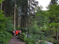 Wandern in Südtirol (Italien) – Dolomiten Wanderreise in Sterzing Astjoch – Sellajoch – Seiser Alm – Gemeinschaftsalm Fane – Burkhardtsklamm – Ratschinger Almenweg – Tatschsp (280)
