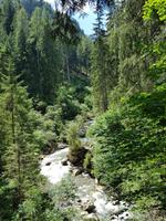 Wandern in Südtirol (Italien) – Dolomiten Wanderreise in Sterzing Astjoch – Sellajoch – Seiser Alm – Gemeinschaftsalm Fane – Burkhardtsklamm – Ratschinger Almenweg – Tatschsp (281)