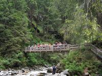 Wandern in Südtirol (Italien) – Dolomiten Wanderreise in Sterzing Astjoch – Sellajoch – Seiser Alm – Gemeinschaftsalm Fane – Burkhardtsklamm – Ratschinger Almenweg – Tatschsp (289)