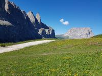 Wandern in Südtirol (Italien) – Dolomiten Wanderreise in Sterzing Astjoch – Sellajoch – Seiser Alm – Gemeinschaftsalm Fane – Burkhardtsklamm – Ratschinger Almenweg – Tatschsp (327)
