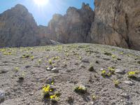 Wandern in Südtirol (Italien) – Dolomiten Wanderreise in Sterzing Astjoch – Sellajoch – Seiser Alm – Gemeinschaftsalm Fane – Burkhardtsklamm – Ratschinger Almenweg – Tatschsp (358)