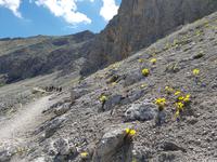 Wandern in Südtirol (Italien) – Dolomiten Wanderreise in Sterzing Astjoch – Sellajoch – Seiser Alm – Gemeinschaftsalm Fane – Burkhardtsklamm – Ratschinger Almenweg – Tatschsp (359)