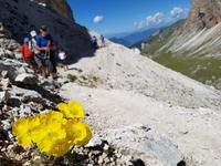 Wandern in Südtirol (Italien) – Dolomiten Wanderreise in Sterzing Astjoch – Sellajoch – Seiser Alm – Gemeinschaftsalm Fane – Burkhardtsklamm – Ratschinger Almenweg – Tatschsp (361)