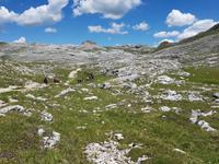 Wandern in Südtirol (Italien) – Dolomiten Wanderreise in Sterzing Astjoch – Sellajoch – Seiser Alm – Gemeinschaftsalm Fane – Burkhardtsklamm – Ratschinger Almenweg – Tatschsp (383)