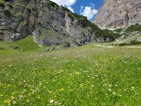 Wandern in Südtirol (Italien) – Dolomiten Wanderreise in Sterzing Astjoch – Sellajoch – Seiser Alm – Gemeinschaftsalm Fane – Burkhardtsklamm – Ratschinger Almenweg – Tatschsp (420)