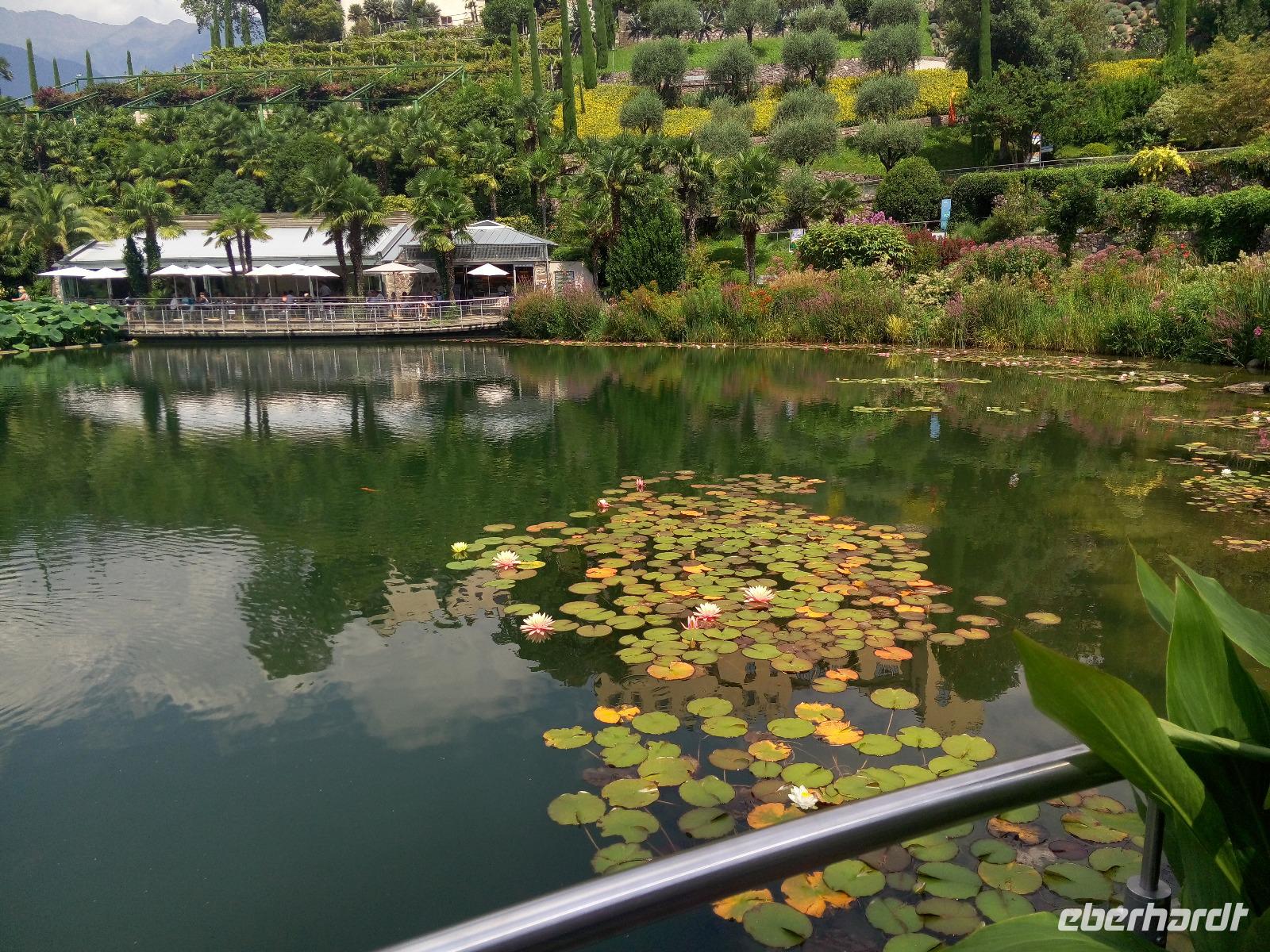  Im botanischen Garten