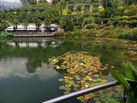  Im botanischen Garten