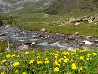 Der Fluss im Passaiertal