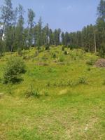 Unterwegs im Wipptaler hof