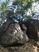 Phlegräische Felder