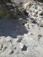 Phlegräische Felder