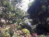 50_Garten_Hruska_Heller