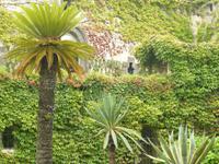 Villa Cimbrone Ravello 1